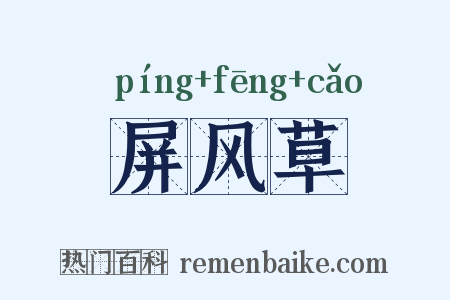 屏风草是什么意思的图片